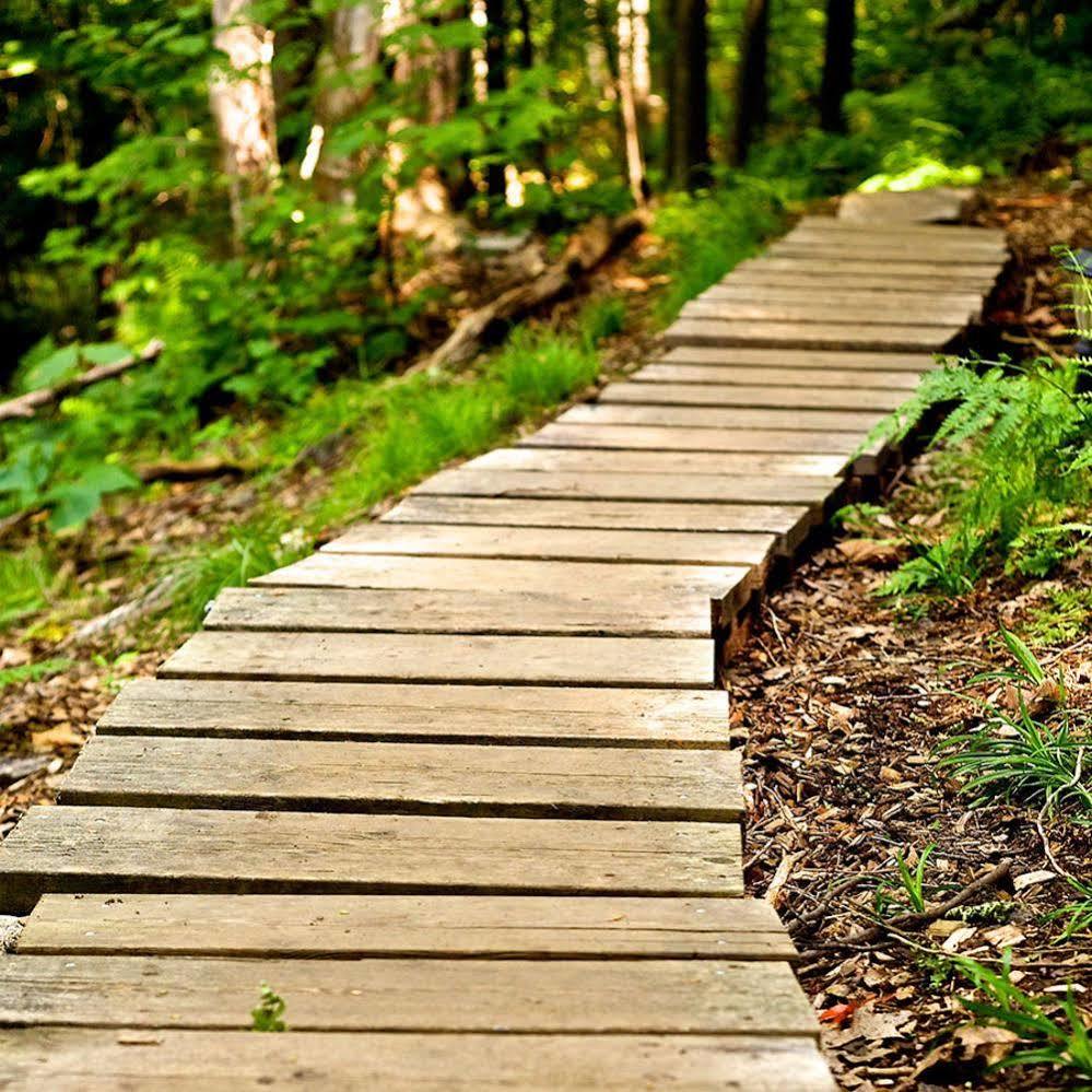 Harmony Outdoor Inn Parry Sound Buitenkant foto